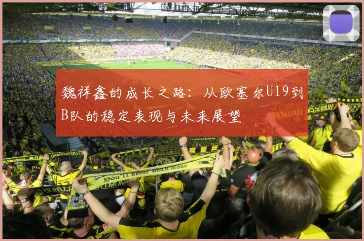 魏祥鑫的成长之路：从欧塞尔U19到B队的稳定表现与未来展望