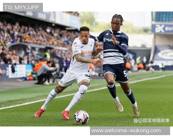 斯旺西队在英冠排名第18考虑解雇主教练艾伦希恩以寻求改变